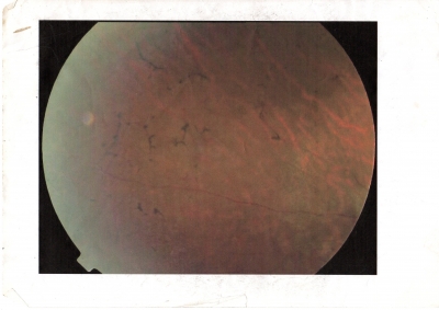 Partially Deaf, Partially Sighted, Totally Usher!